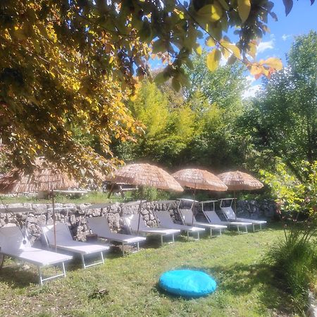 Domaine Des Petites Soeurs A 800M Du Centre Historique Avec 5200M2 De Parc Arbore Vence Zewnętrze zdjęcie