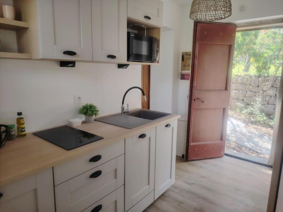 Domaine Des Petites Soeurs A 800M Du Centre Historique Avec 5200M2 De Parc Arbore Vence Zewnętrze zdjęcie