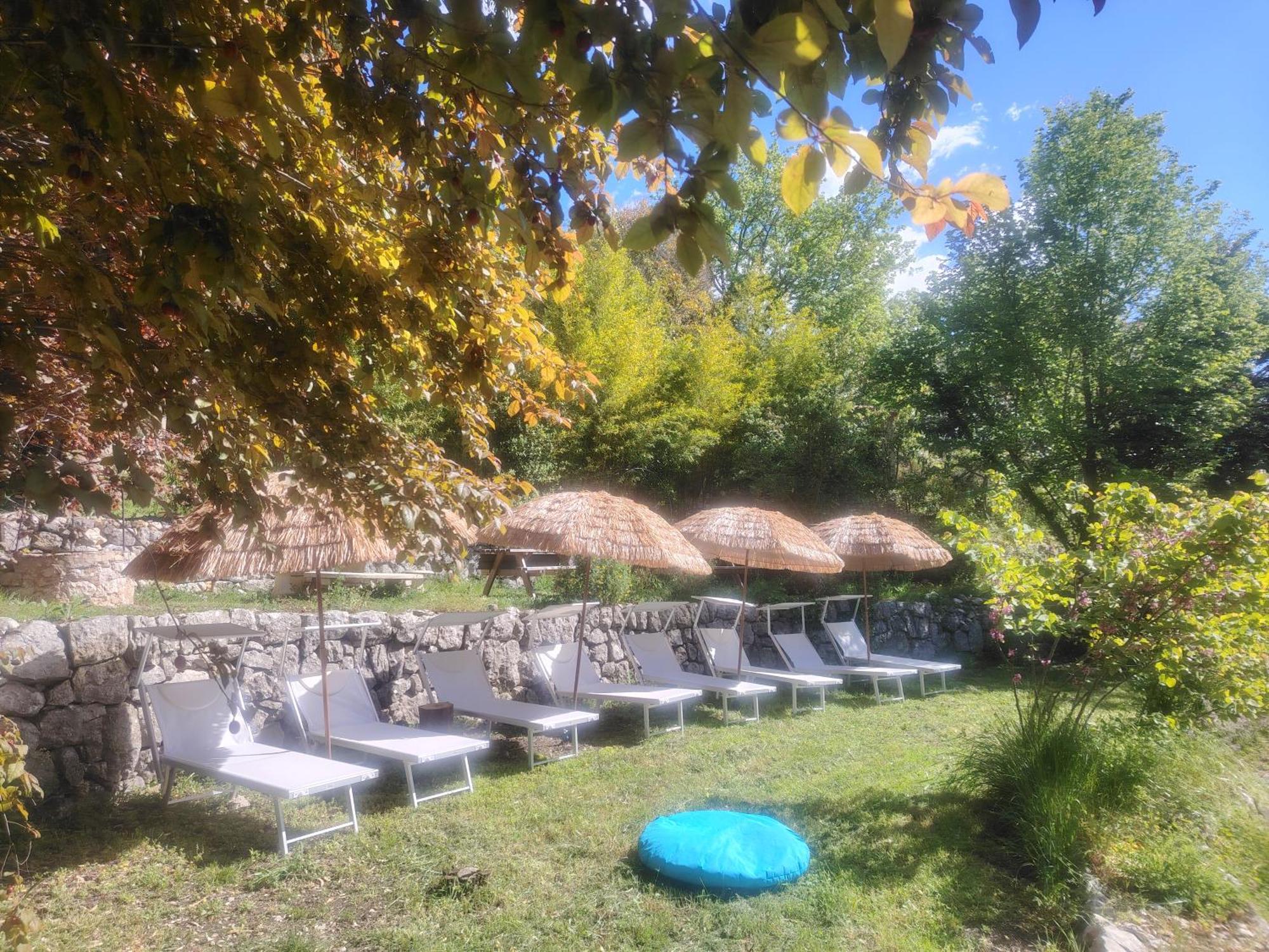Domaine Des Petites Soeurs A 800M Du Centre Historique Avec 5200M2 De Parc Arbore Vence Zewnętrze zdjęcie