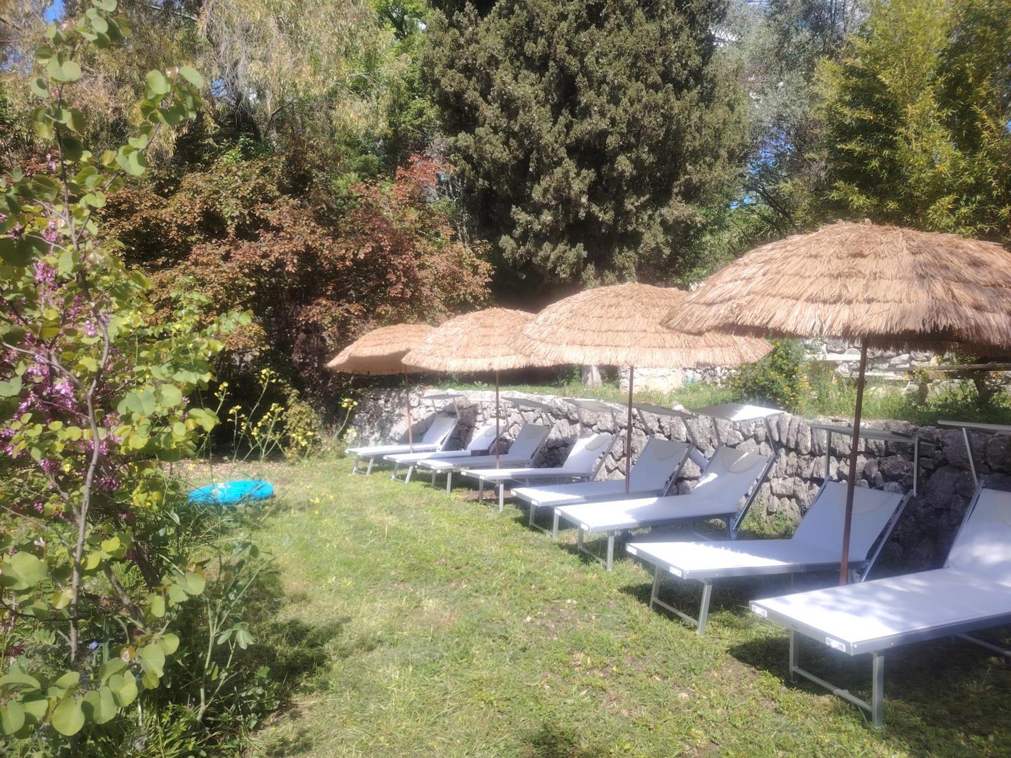 Domaine Des Petites Soeurs A 800M Du Centre Historique Avec 5200M2 De Parc Arbore Vence Zewnętrze zdjęcie